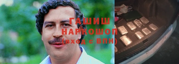 СК Бородино