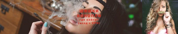 СК Бородино