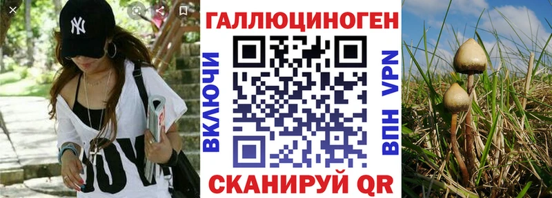 магазин продажи наркотиков  Ессентуки  Галлюциногенные грибы GOLDEN TEACHER 