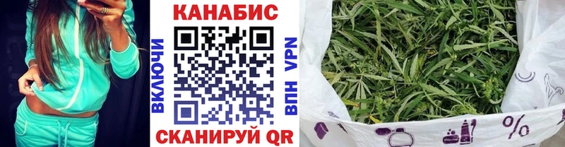 Канабис план  наркошоп  Ессентуки 